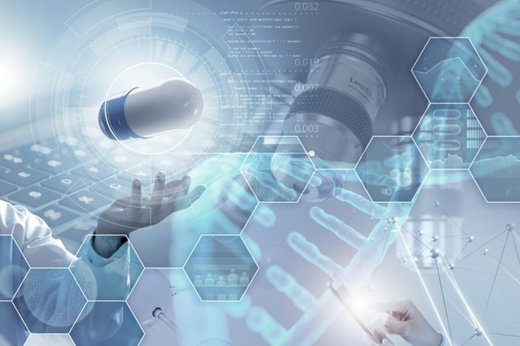 Regulatory Services